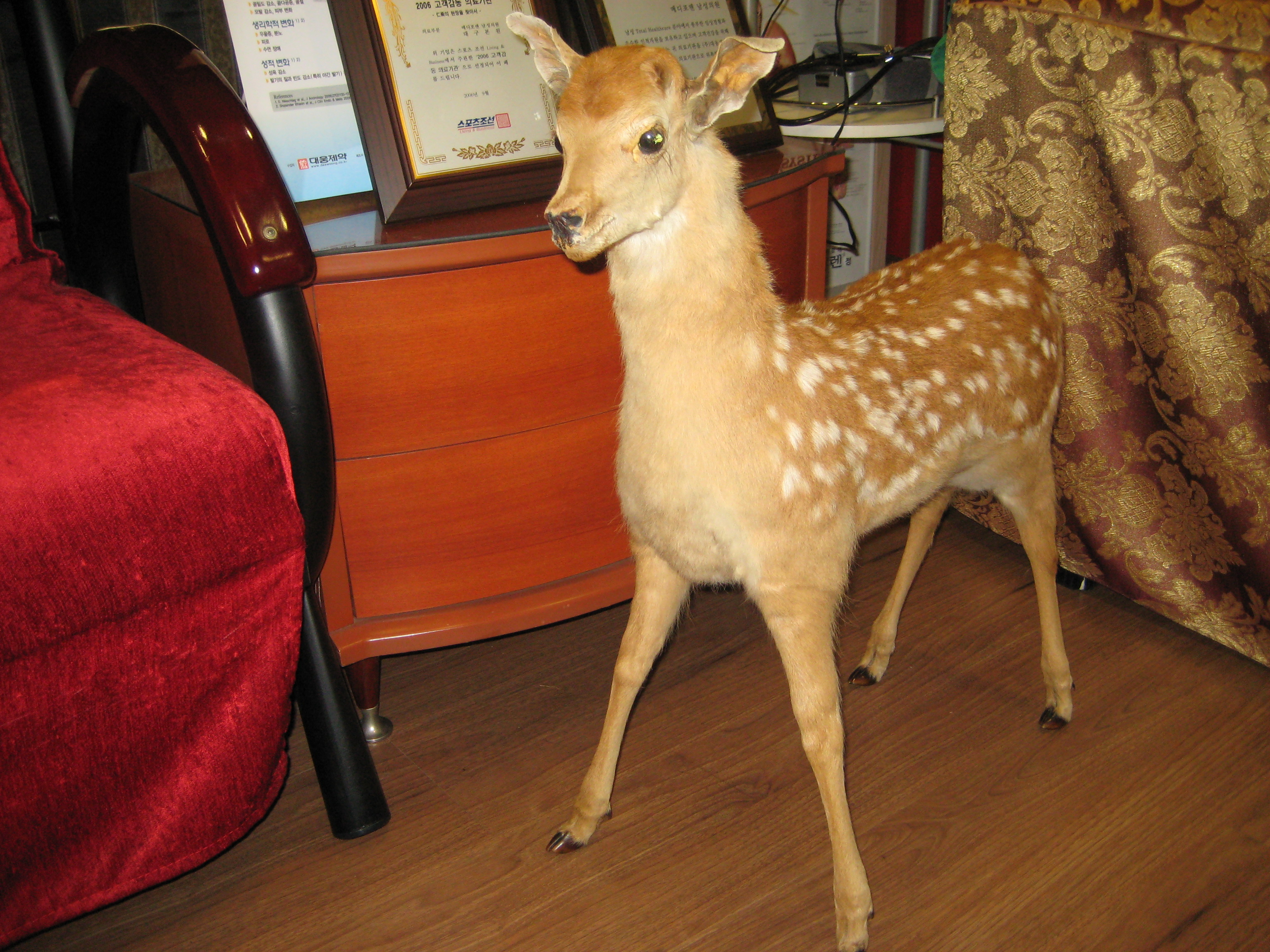 포토후기 이미지